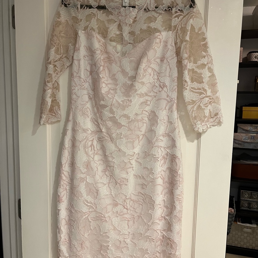 Tadashi Shoji Blush Lace Long Sleeve Dress